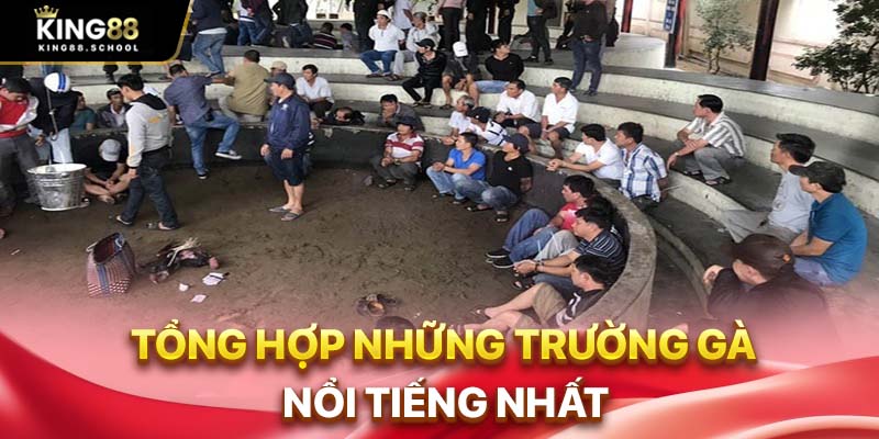 Tổng hợp những trường gà nổi tiếng nhất